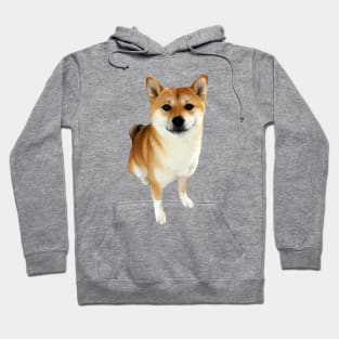 Lilly the Shiba Inu Sitting Down Hoodie